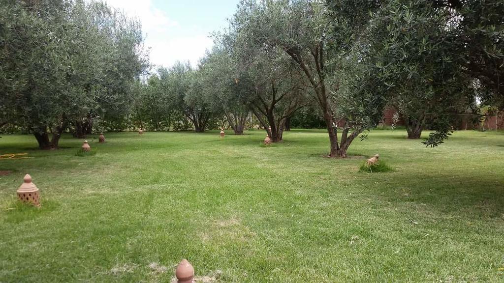 Riad Sidi Hicham Ouled Bouzid Dış mekan fotoğraf