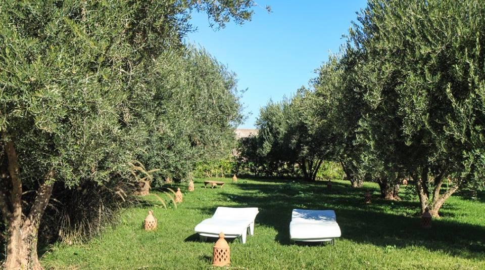 Riad Sidi Hicham Ouled Bouzid Dış mekan fotoğraf